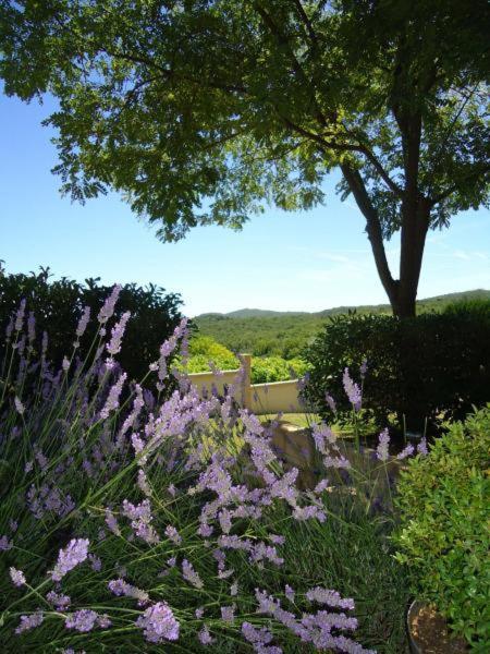 Pougnadoresse Chambres D'Hotes "Maison Pons" Proche Uzes - Pont Du Gard מראה חיצוני תמונה